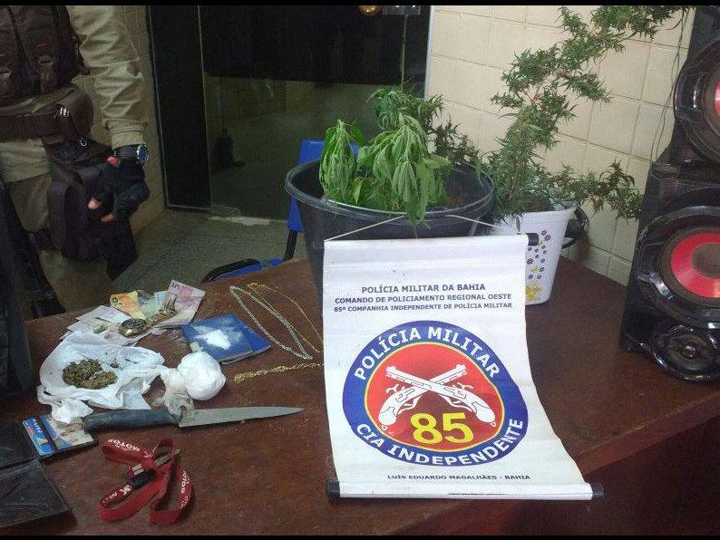 Entre outros itens, a polícia encontrou pés de maconha cultivados na casa
