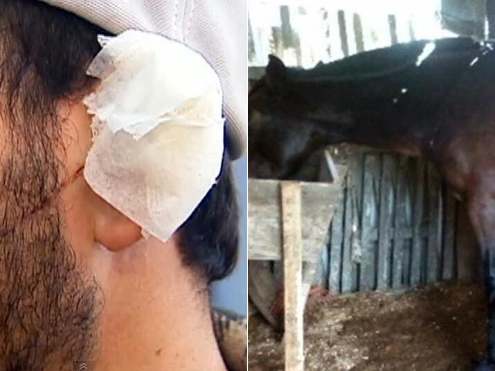 Por ciúme de cavalo, jovem arranca orelha de rival e esfaqueia ex-namorada. Veja na reportagem completa!

