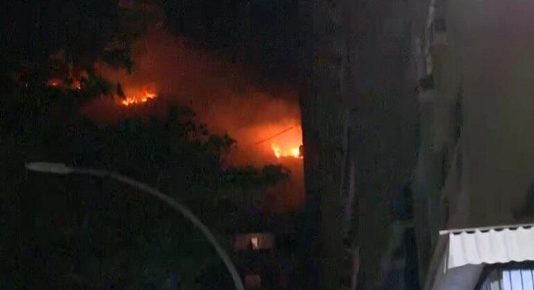 As causas do incêndio na vegetação ainda são desconhecidas