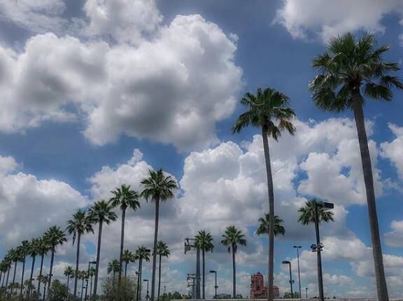 Entre tantos passeios que fez, Geisy ficou encantada com o cenário natural de Orlando e brincou: "Queria plantar as bichinha lá em casa..."