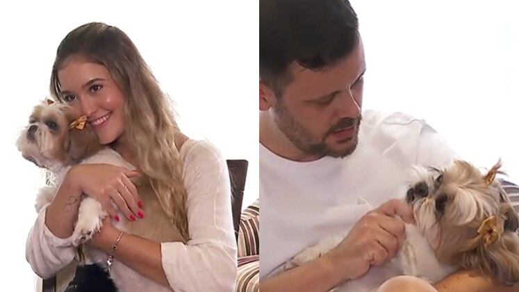 Os shih tzus costumam conviver bem com crianças e, pensando em seus filhos, Anderson Rinaldi escolheu um como pet. O administrador, porém, foi quem mais se apegou ao animal que, segundo ele, demonstra muita animação com o seu retorno para casa no final do dia. "Fica na porta esperando", revelou.