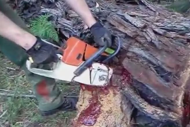 Vídeo foi visto mais de 1 milhão de vezes em apenas três dias