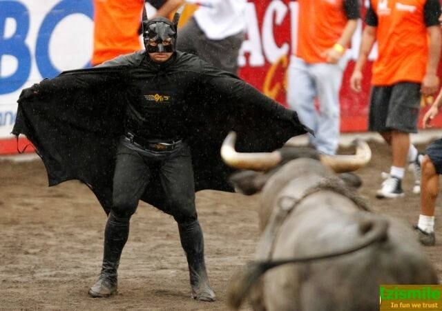 E então aparece um Batman para encarar um touro cheio de amor e chifres pra dar 