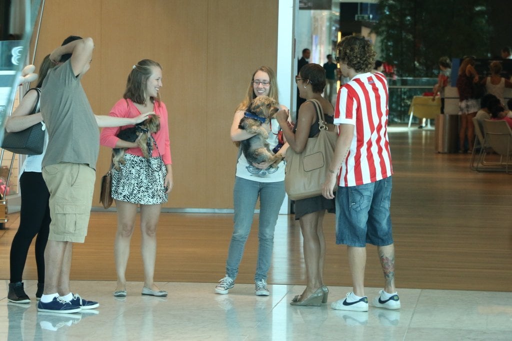 E ainda paparicou alguns cães que encontraram no caminho 
