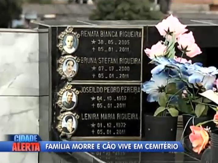 Até hoje o cão não conseguiu superar a falta dos donos, que morreram soterrados depois de uma forte chuva em Jundiaí, interior de São Paulo. Assista ao vídeo!