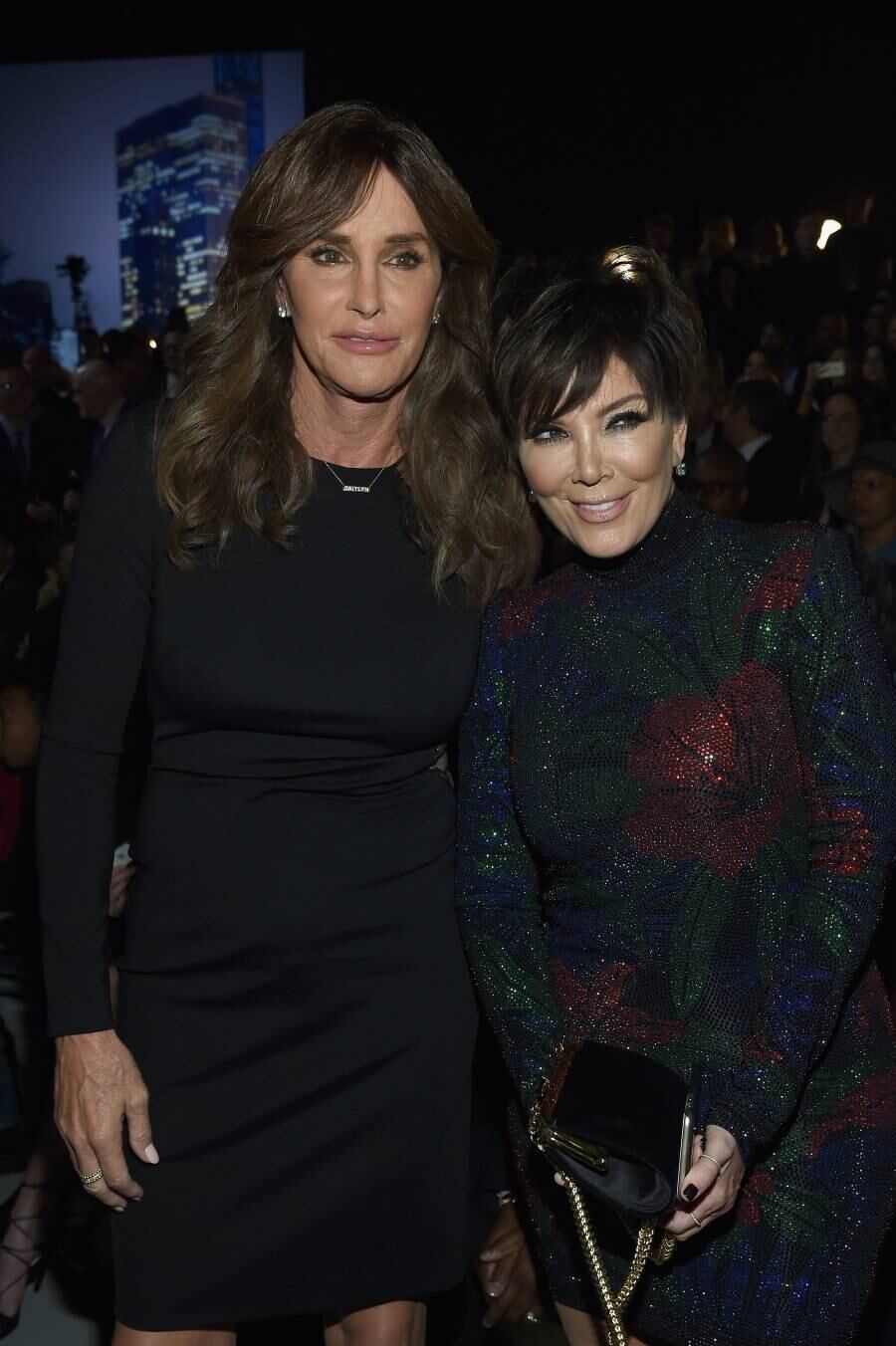 Este ano também marcou o nascimento de Caitlyn Jenner. Bruce Jenner, que já era muito famoso no esporte e na TV, assumiu o processo de transexualização. Virou mulher e passou a ser muito admirada pelas pessoas que lutam pelos direitos da comunidade LGBT