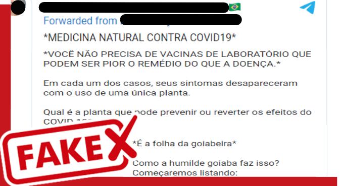 Mensagem traz informações falsas sobre remédio contra Covid-19 e contra as vacinas
