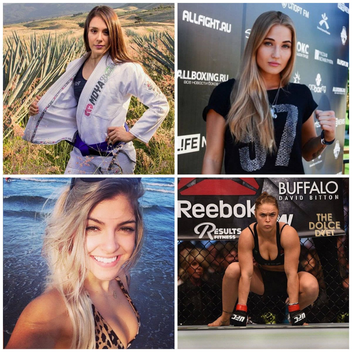 O MMA mundial está repleto de boas lutadoras, mas algumas se destacam não apenas pelas habilidades, mas por sua beleza! Confira as gatas dos octógonos 