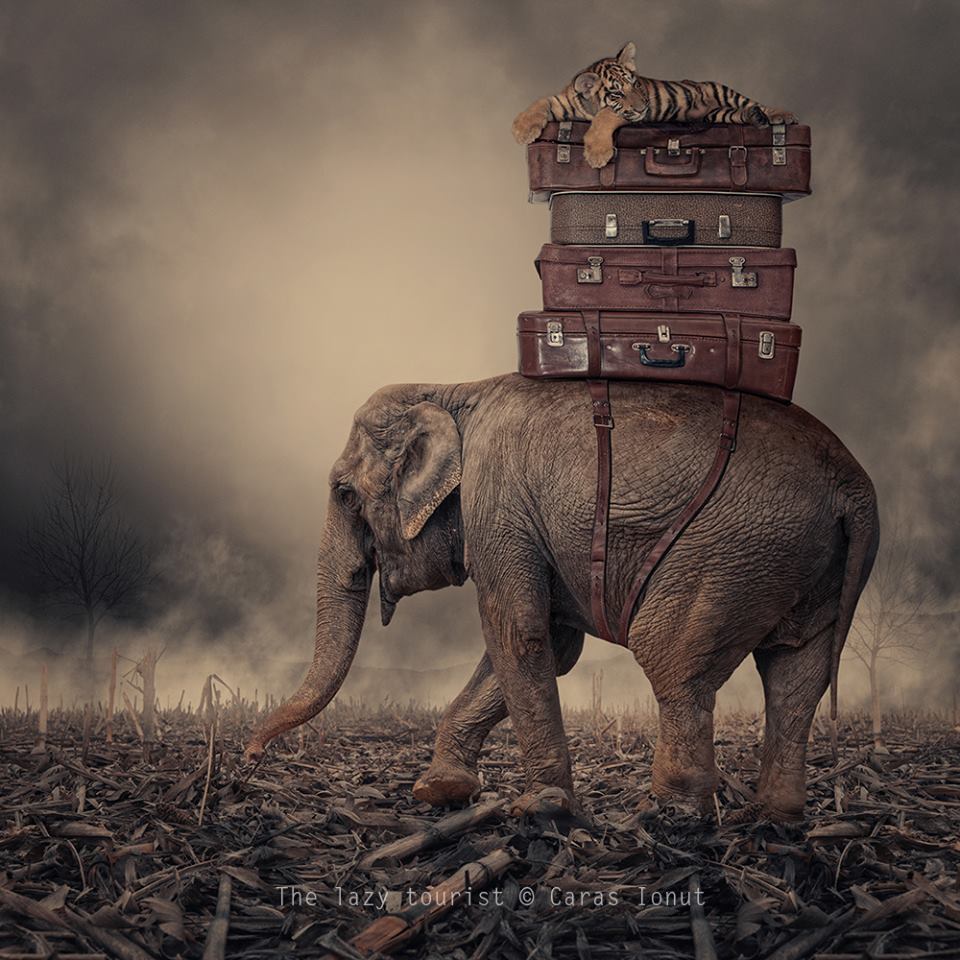 Caras Ionut. photoshop, sobrepor imagem, fotografia, artistas