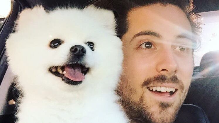 E quem tem pet, sabe o quanto vale cada expressão! "Sorrisos", disse Chris na legenda.