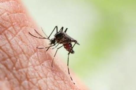 Ações tem sido realizadas para conter o aumento da doença