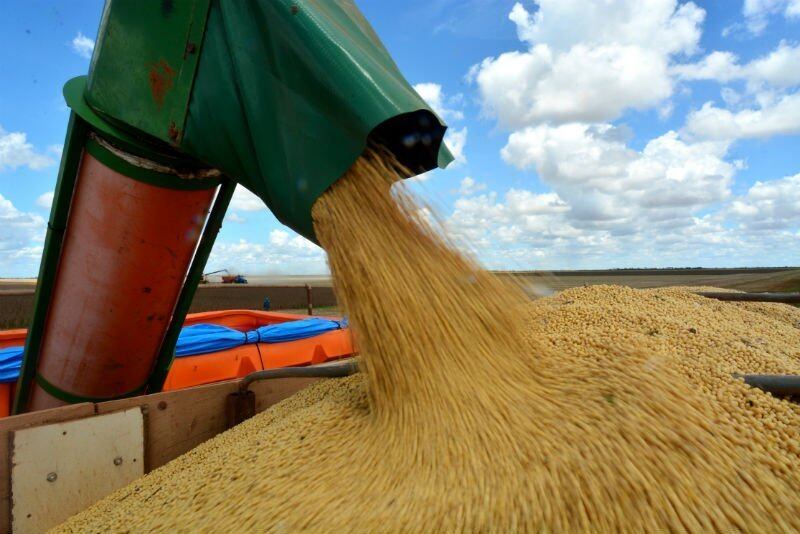 2001 - Desenvolvimento e preservação ambiental: como conciliar interesses em conflito?

Leia: Confira estratégias para estudar nesta reta final antes do Enem