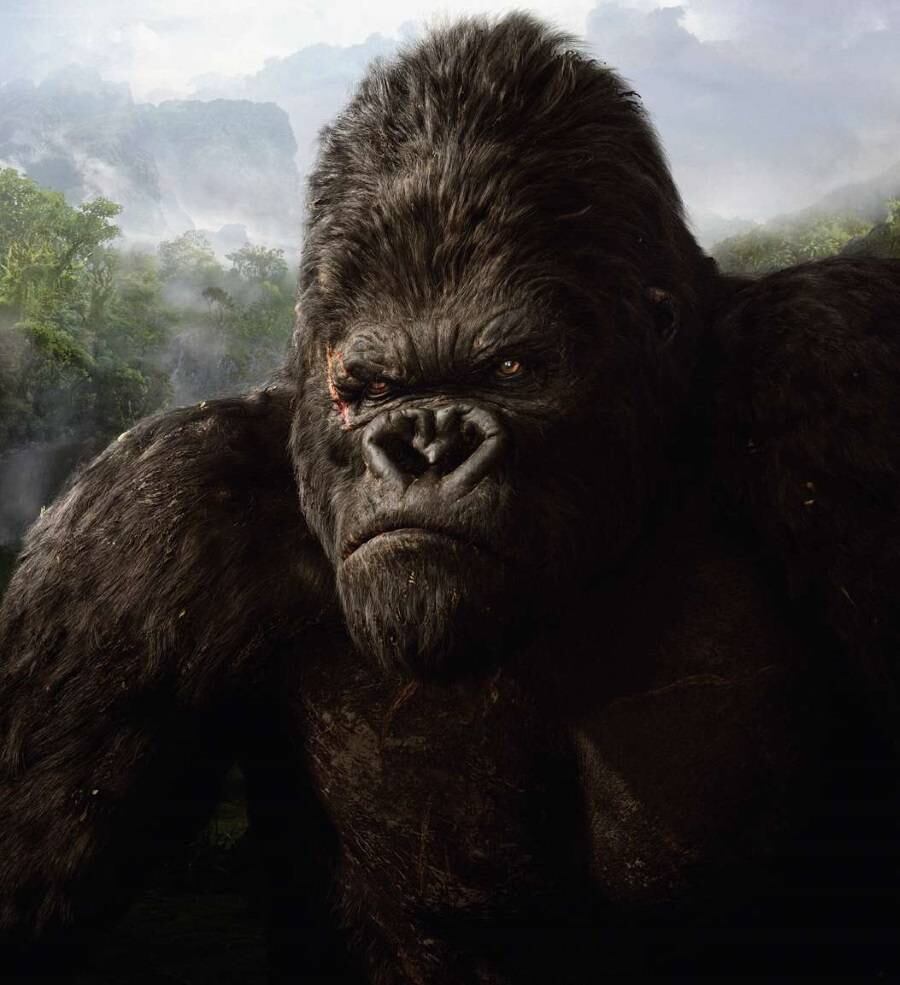 King Kong é um dos personagens mais conhecidos do cinema, e protagonista de uma das cenas mais icônicas da história, em que se pendura em cima do Empire State Bulding carregando nas mãos a mulher humana pela qual se apaixonou