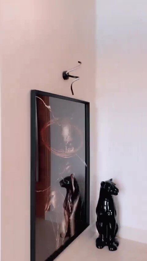 Logo na entrada da mansão, há luminárias, um quadro e uma escultura de um felino

Veja também: Deolane Bezerra começa a retirar preenchimento labial e mostra mudança: 'Tá diminuindo'