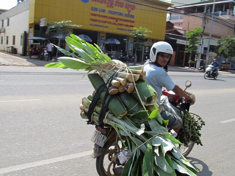 Voltando da feira em grande estilo