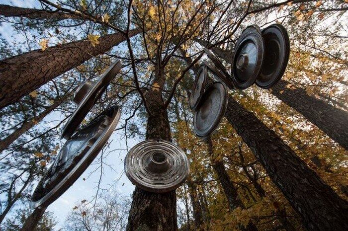 A lataria dos carros se mistura com a natureza