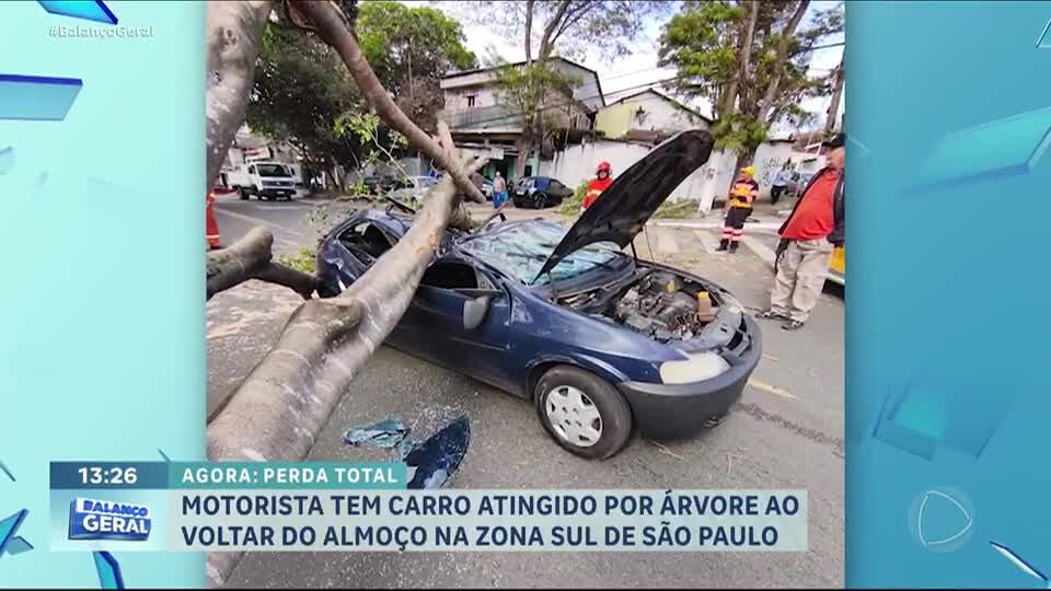 ‘Nasci de novo’, diz motorista que escapou sem ferimentos de queda de árvore sobre carro