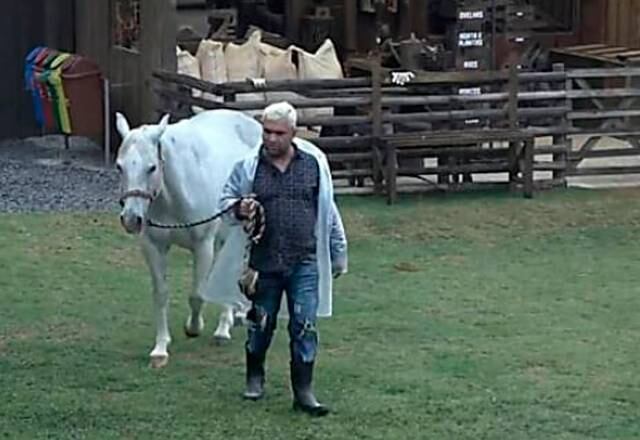 Parto emocionante

Uma surpresa fofa! Égua Ding deu à luz a potrinha Antonela na décima temporada do reality. O parto do animal deixou os peões emocionados!
