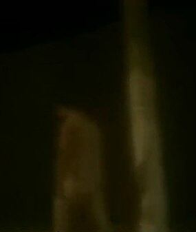 A polícia acredita se tratar do mesmo homem que dias antes andava pelado pelas ruas da cidade. Neste caso, o homem, que aparentava ter problemas mentais, conseguiu informar aos policiais o telefone de familiares. Leia a matéria completa