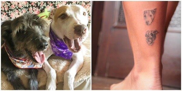 Thor e Jack agora estão imortalizados na pele da tutora Vanessa Mesquita