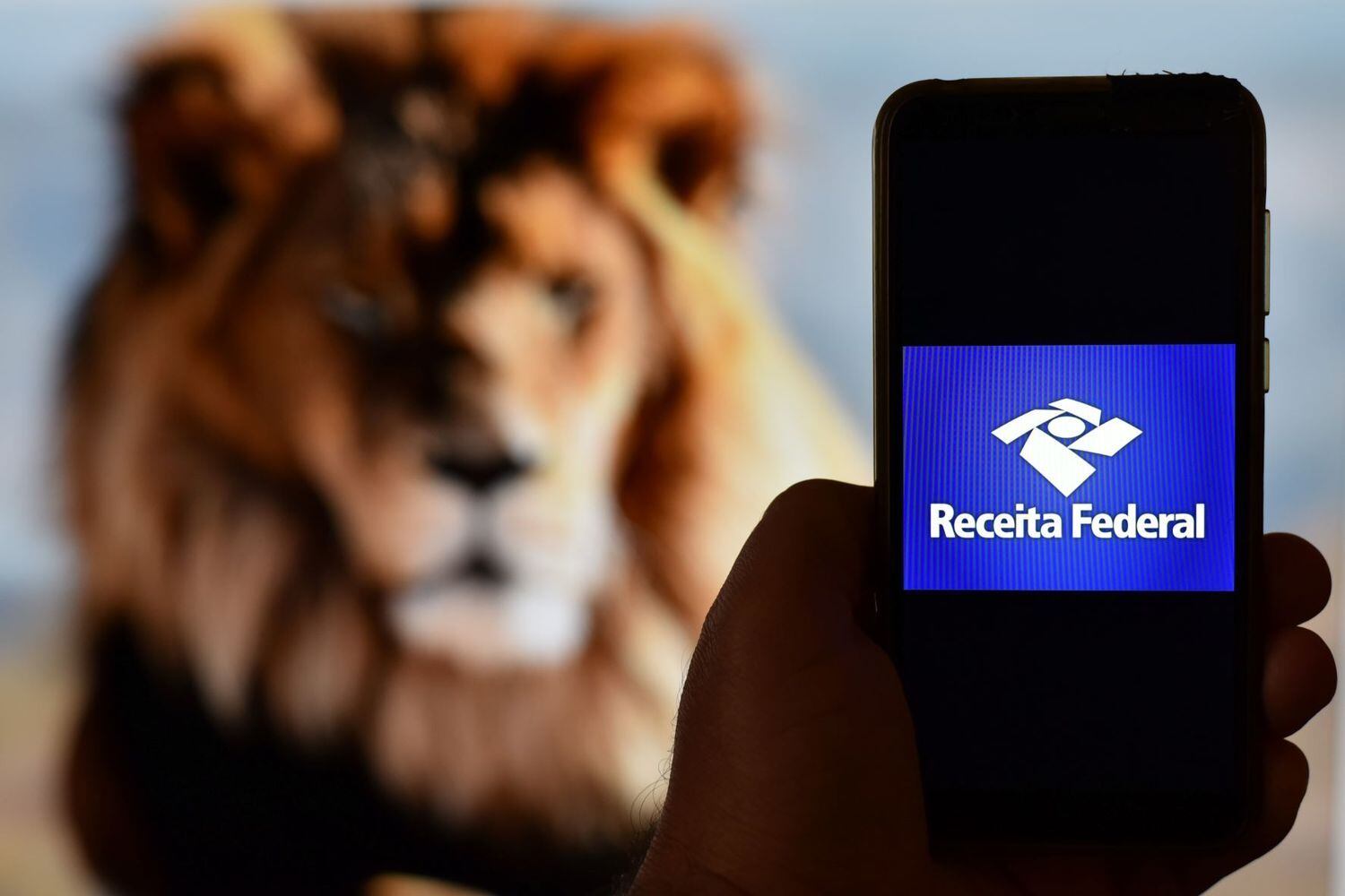 Prazo de entrega termina nesta terça-feira (31)