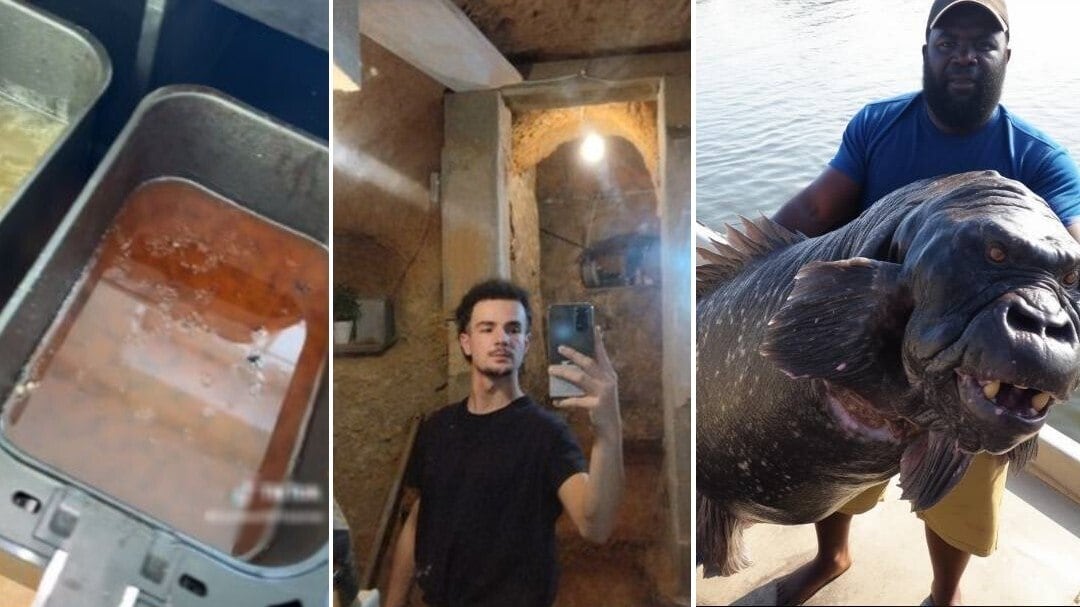 Tem até Wi-Fi: jovem mostra como está a caverna que constrói há 8 anos, após brigar com os pais. Nojento: mulher é duramente criticada após revelar técnica secreta para limpar Airfryer. Foto de um peixe-gorila choca a internet, que cria as teorias mais loucas sobre o bicho. A seguir, os conteúdos mais lidos em HORA 7 na última semana!