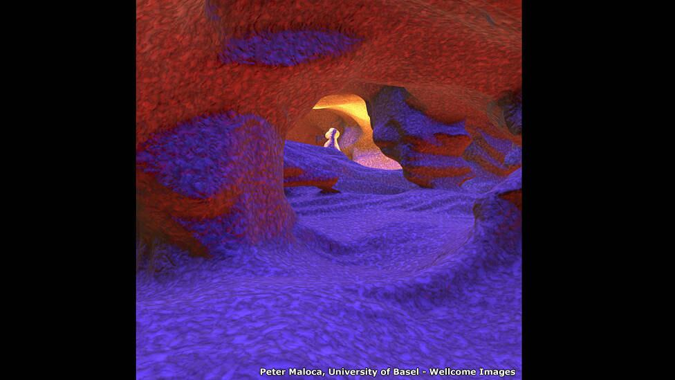 Essa imagem, que pode ser facilmente confundida com uma pintura impressionista, é a parte interna de vasos sanguíneos localizados no olho humano. Segundo o juiz Robin Lovell-Badge, a imagem em 3D registrada por Peter Maloca consegue retratar a velocidade com a qual o sangue se move.

— O sangue se move rápido
demais para ser visível, criando este labirinto de túneis que parece uma
paisagem subterrânea

