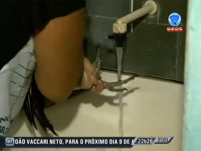 

Já os pés, dona Lúcia faz questão de lavar todos os
dias

para não pegar doenças