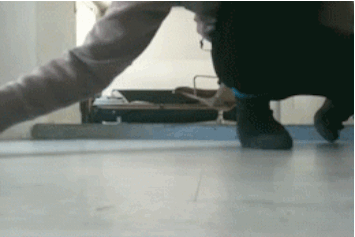 Gifs, alegre o dia, animação, tecnologia