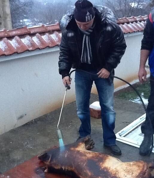 Diz o texto: "Eu gosto de caçar porque me permite fazer novos
amigos, aprender sobre diferentes lugares e cozinhas. A caça é sofrimento,
prazeroso. Você vê um bando de lobos devorando um pobre cervo. É cru, como a
vida. I cacei no Zimbábue, Namíbia, Moçambique. Adoro aprender sobre outras
culturas, outras paisagens, eu amo animais"