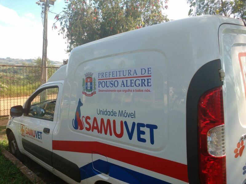 Cidade conta também com plantão veterinário