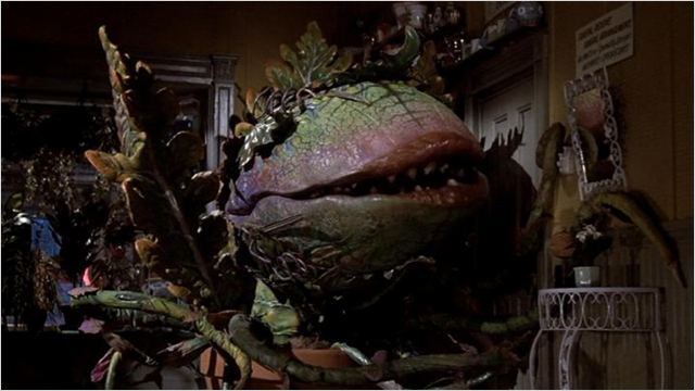 Filme trash também é cultura! A Pequena Loja de Horrores é uma comédia musical que conta a história de Audrey, uma planta carnívora alienígena falante que se alimenta de carne humana. Ufa!