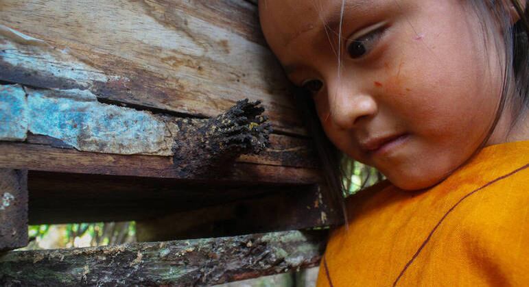 A Amazônia é uma das regiões com maior biodiversidade do mundo