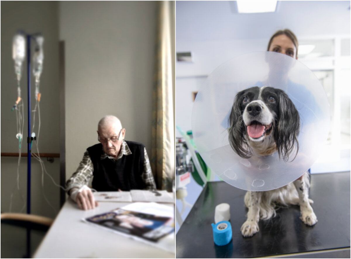 O diretor da empresa Direto Contabilidade, Gestão e
Consultoria, Silvinei Cordeiro Toffanin, dá outras explicações para a diferença
da carga tributária dos remédios para pessoas e para animais.— O consumo do remédio para humanos é maior, a maioria dos
laboratórios são multinacionais, e há a interferência do governo no setor para
regular dando incentivos ou não, afim de aumentar o consumo