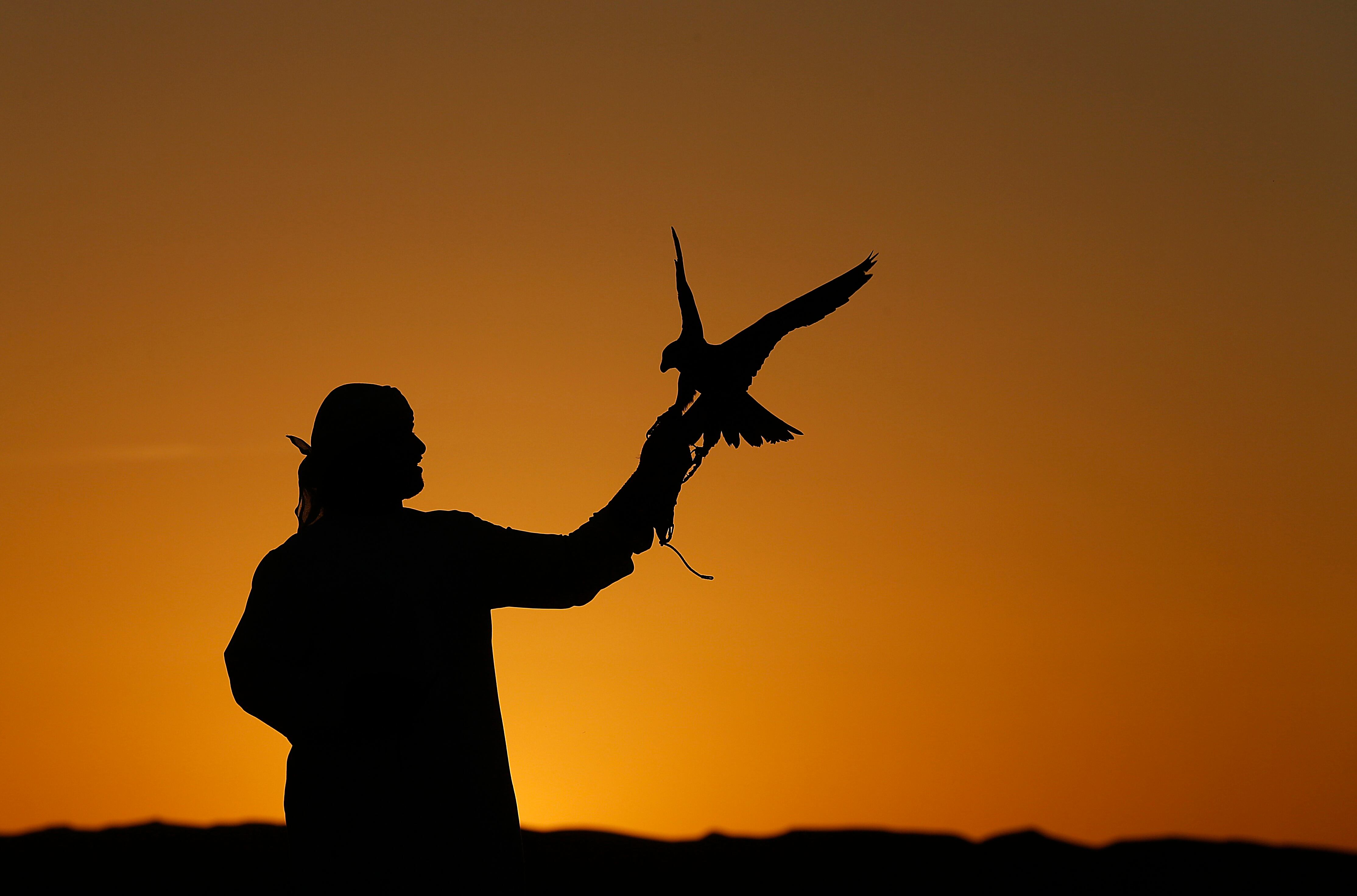 Um homem segura um falcão no deserto de Liwa, que fica a 220 km de Abu Dhabi, nos Emirados Árabes
