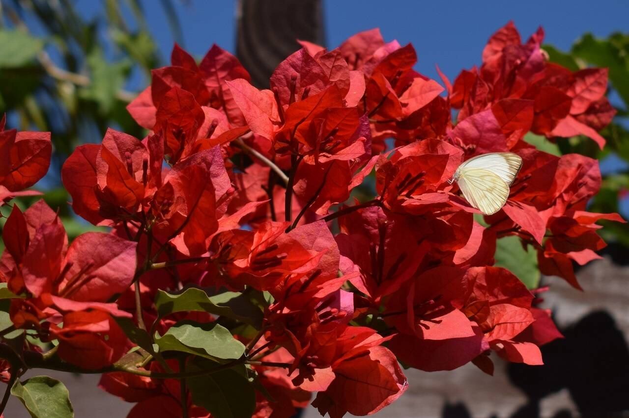 Uma das fotos de Priscila durante o curso