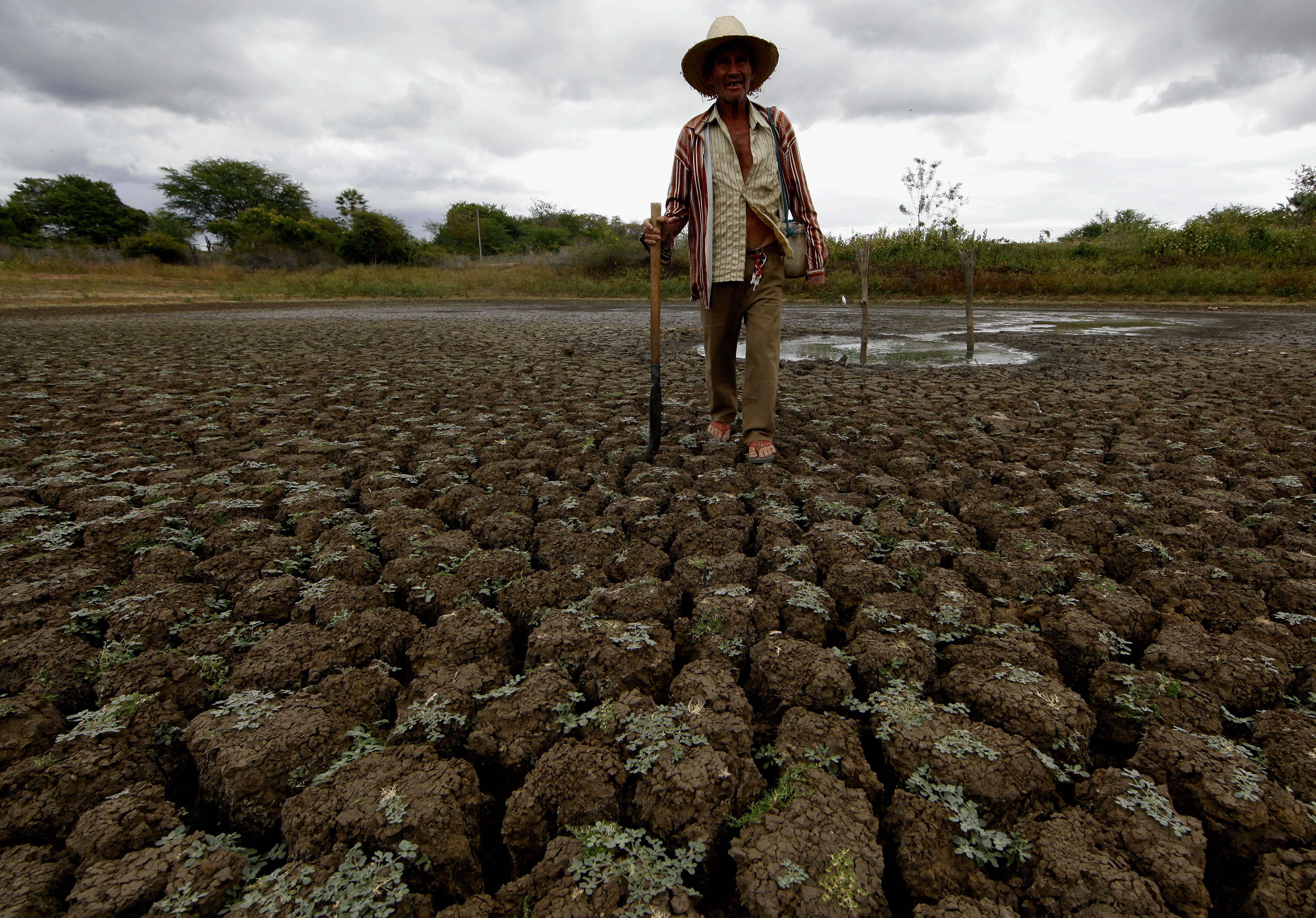 Solo rachado pelo sol, na localidade de Assaré, no Estado d Ceará