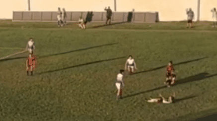 Reprodução/RECORD NEWS