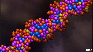 DNA é considerado o mais poderoso sistema de armazenamento de informações que existe