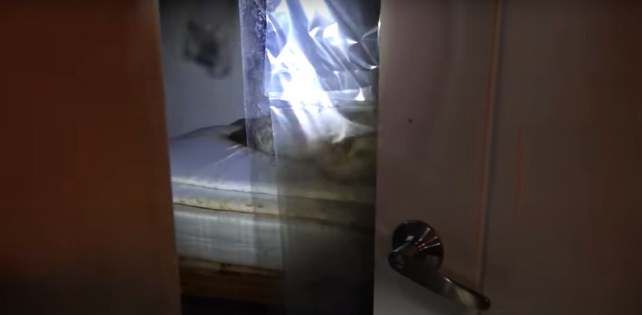 Quarto estava lacrado com plástico e a entrada acumulava pilhas de besouros mortos