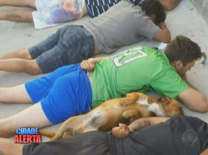 O Cidade Alerta desta quarta-feira (8) mostrou um caso inusitado envolvendo animal de estimação. Um cachorro ofuscou uma abordagem policial. Ao ver os suspeitos deitados no chão, o animal juntou-se a eles. O caso aconteceu em Florianópolis, em Santa Catarina. Veja outros casos envolvendo animais de estimação.