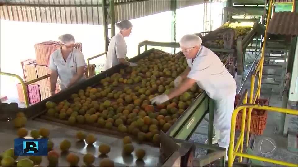 Tarifaço de Trump: empresários se preocupam com o destino dos alimentos exportados aos EUA