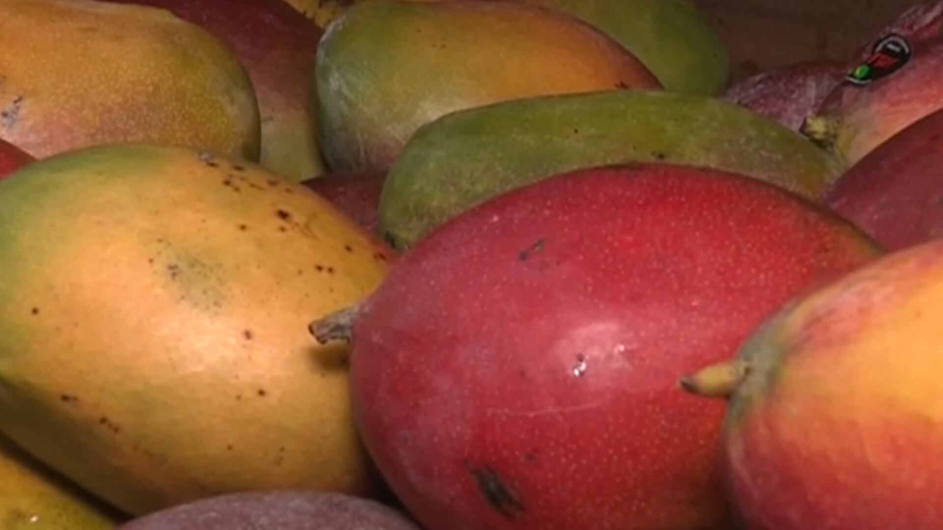 Entenda como as tarifas de Trump podem colapsar o mercado de frutas brasileiro