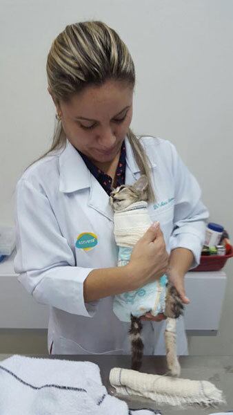 Ainda
de acordo com Luriel, a gatinha, que foi apelidada de mimosa, não resistiu à
gravidade dos ferimentos e morreu no dia seguinte. Segundo ele, o crime
aconteceu no dia 11 de junho. No entanto, nenhum boletim de
ocorrência foi registrado