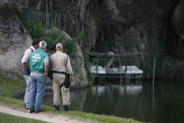 A hipótese mais provável para explicar a chegada do jacaré naquela lagoa é que ele tenha sido abandonado por algum dono que não o queria mais