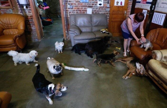 Muitos deles são deficientes físicos ou têm problemas de saúde ou comportamento