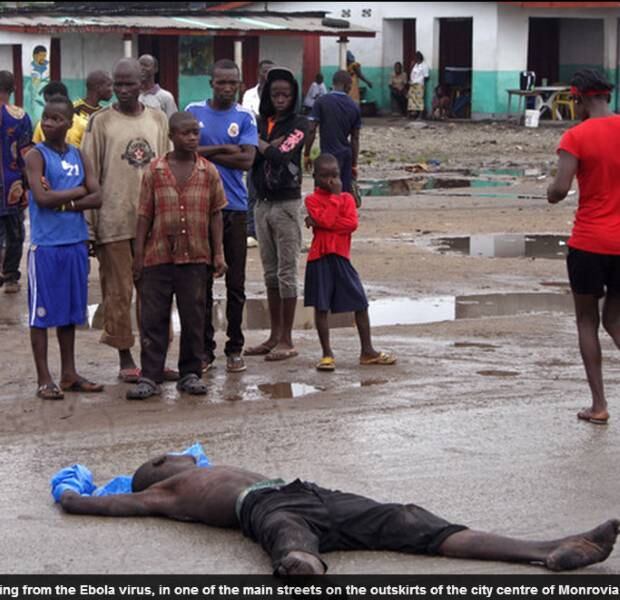 Cães selvagens foram flagrados desenterrando cadáveres de
vítimas do ebola na Libéria e se alimentando de seus corpos. Segundo moradores
da cidade de Johnsonville Township, uma matilha de cães selvagens está levando
os corpos a céu aberto para se alimentar