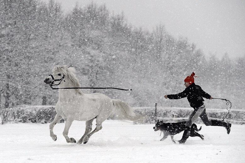 Garota brinca na neve com pônei e cachorro em Warsaw, na Polônia