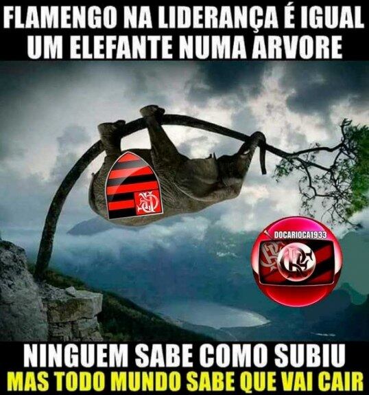 Internautas fazem piadas com troca da liderança do Brasileirão