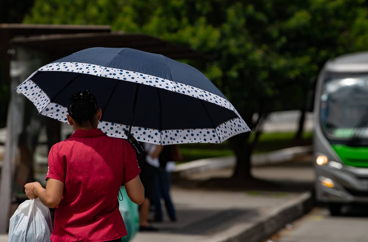 Capital paulista tem dia de calor intenso nesta quinta-feira (27)